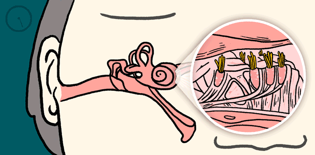 Hearing Loss in Children