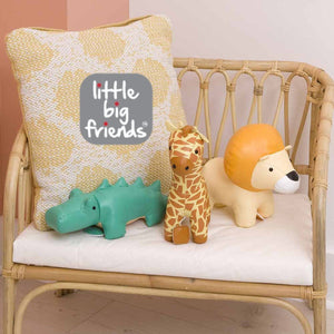 Little Big Friends - playhao - Toy Shop Singapore