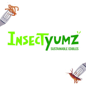 Insectyumz - playhao - Toy Shop Singapore