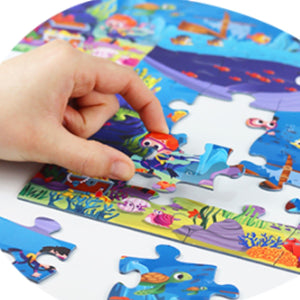 STS Calypto - playhao - Toy Shop Singapore