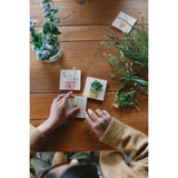 GRAPAT Advent Calendar 2025 - playhao - Toy Shop Singapore