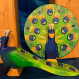 OSTHEIMER Peacock open