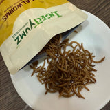 INSECTYUMZ Mealworm Original 35g