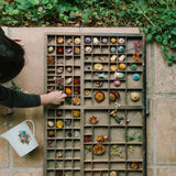 GRAPAT Flower Meadow (PRE-ORDER) - playhao - Toy Shop Singapore