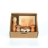 GRAPAT Hello Autumn! 2025 - playhao - Toy Shop Singapore