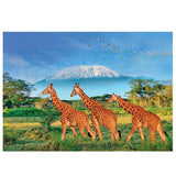 CALYPTO PUZZLE 500 P XL - Girafes - Giraffes - playhao - Toy Shop Singapore