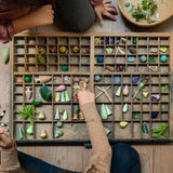 GRAPAT Forest tree (PRE - ORDER) - playhao - Toy Shop Singapore