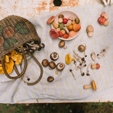 GRAPAT Mushroom Grove (PRE - ORDER) - playhao - Toy Shop Singapore