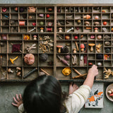 GRAPAT Mushroom Grove (PRE - ORDER) - playhao - Toy Shop Singapore