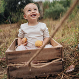 GRAPAT serendipity - playhao - Toy Shop Singapore