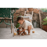 GRAPAT serendipity - playhao - Toy Shop Singapore