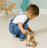 Little Big Friends Pull along - Adrien the Dog - playhao - Toy Shop Singapore