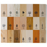 NAEF Wood Collection - playhao - Toy Shop Singapore