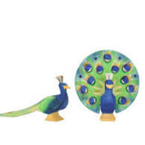 OSTHEIMER Peacock - playhao - Toy Shop Singapore