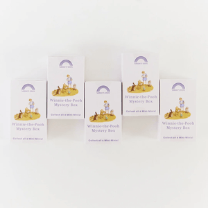 SARAH'S SILK Mini Mini Mystery Box (DP) - playhao - Toy Shop Singapore