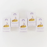 SARAH'S SILK Mini Mini Mystery Box (DP) - playhao - Toy Shop Singapore