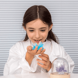 SENTOSPHERE La Chimie Des Cristaux - New Packaging - playhao - Toy Shop Singapore