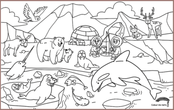 COLOUR ME MATS Arctic Expedition (Colouring Mat only) - playhao - Toy Shop Singapore