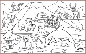 COLOUR ME MATS Arctic Expedition (Colouring Mat Bundle) - playhao - Toy Shop Singapore