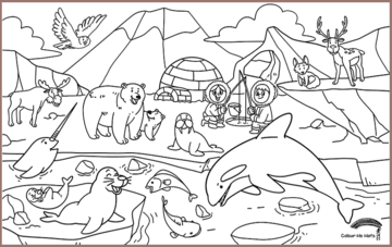COLOUR ME MATS Arctic Expedition (Colouring Mat Bundle) - playhao - Toy Shop Singapore
