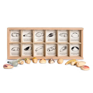 GRAPAT Wild - playhao - Toy Shop Singapore